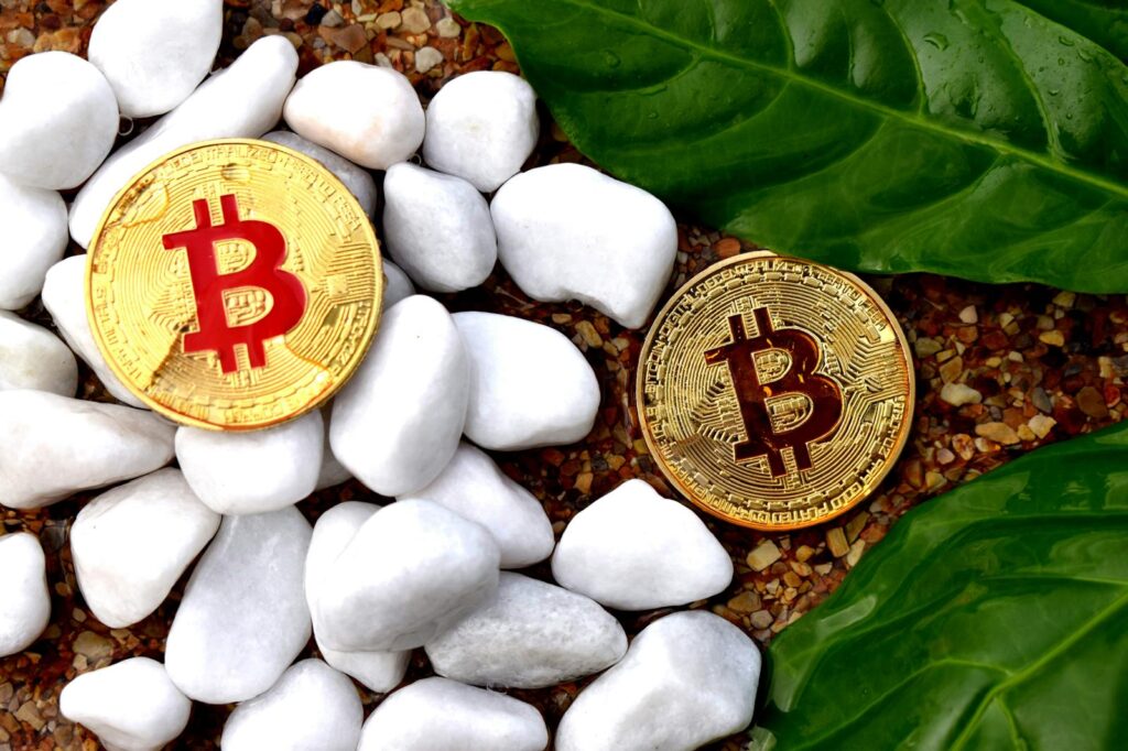 cwpro.co: attenzione alla truffa. Falso trading on line