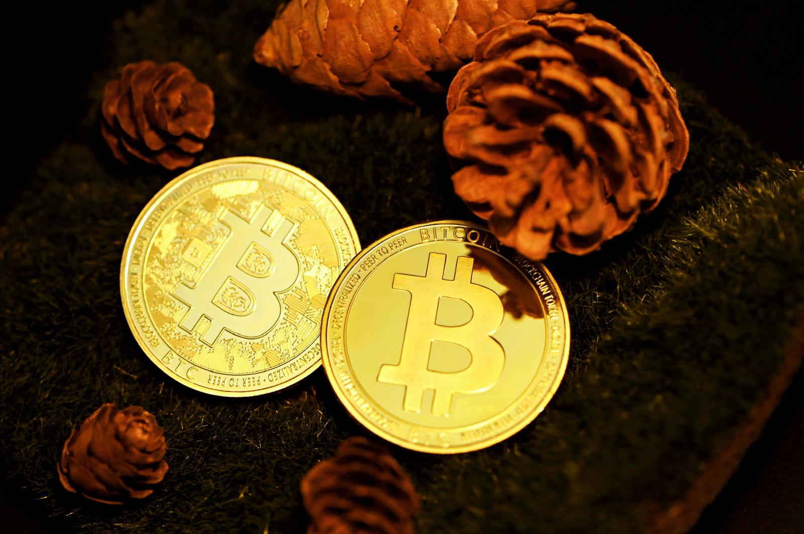 evpmarketltd.com-scam