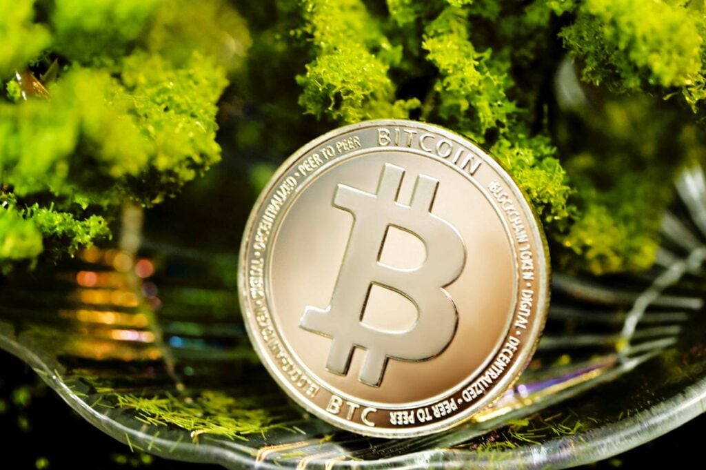 management-coinbase-it.com: attenzione alla truffa. Falso trading on line