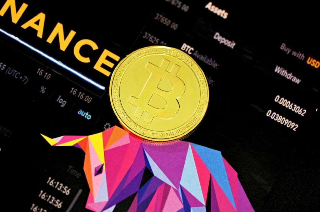 vip.ternionito.com: attenzione alla truffa. Falso trading on line