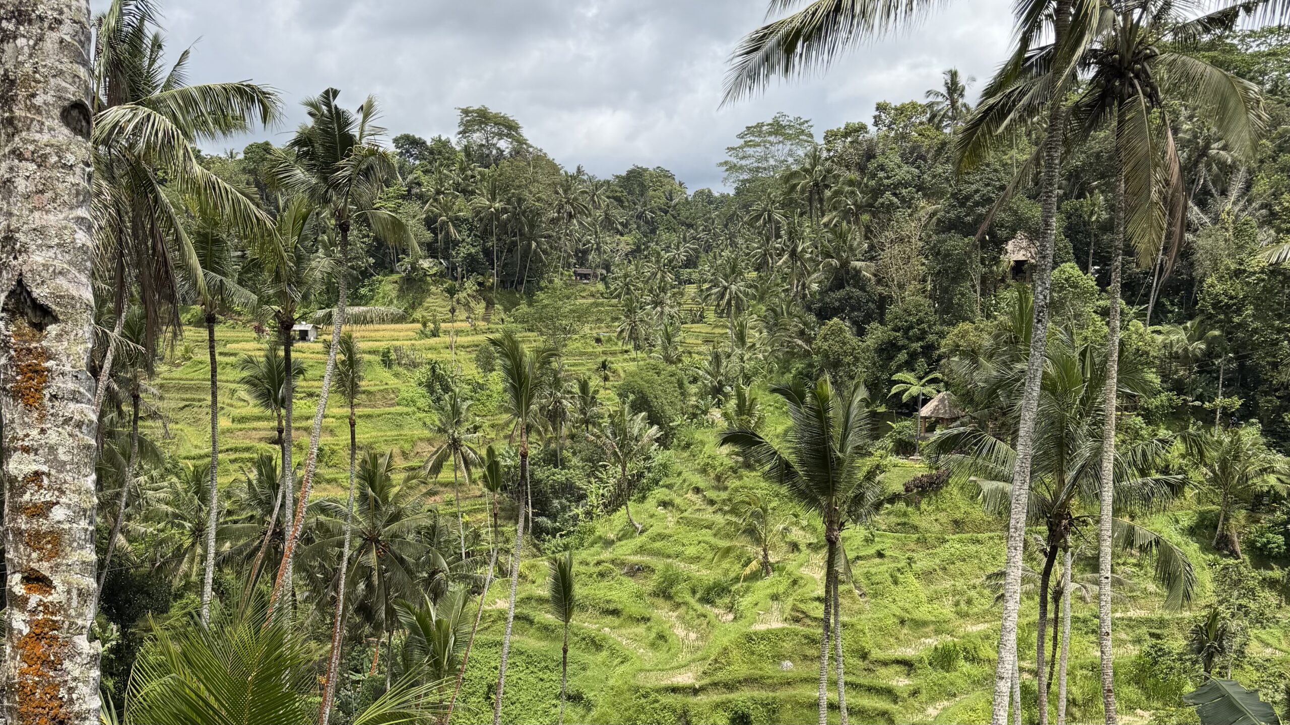 Dove Investire a Bali nel 2026: La “Trinità” del Rendimento (Canggu, Ubud, Uluwatu)